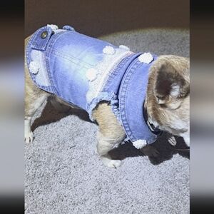 CUTE as A BUTTON on My MODEL...POPEYE! Its A Combo VEST/JACKET